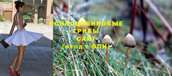трава Гусь-Хрустальный