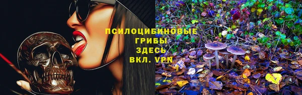 трава Гусь-Хрустальный