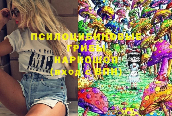 МДПВ Гусев