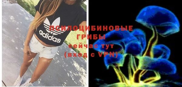 трава Гусь-Хрустальный