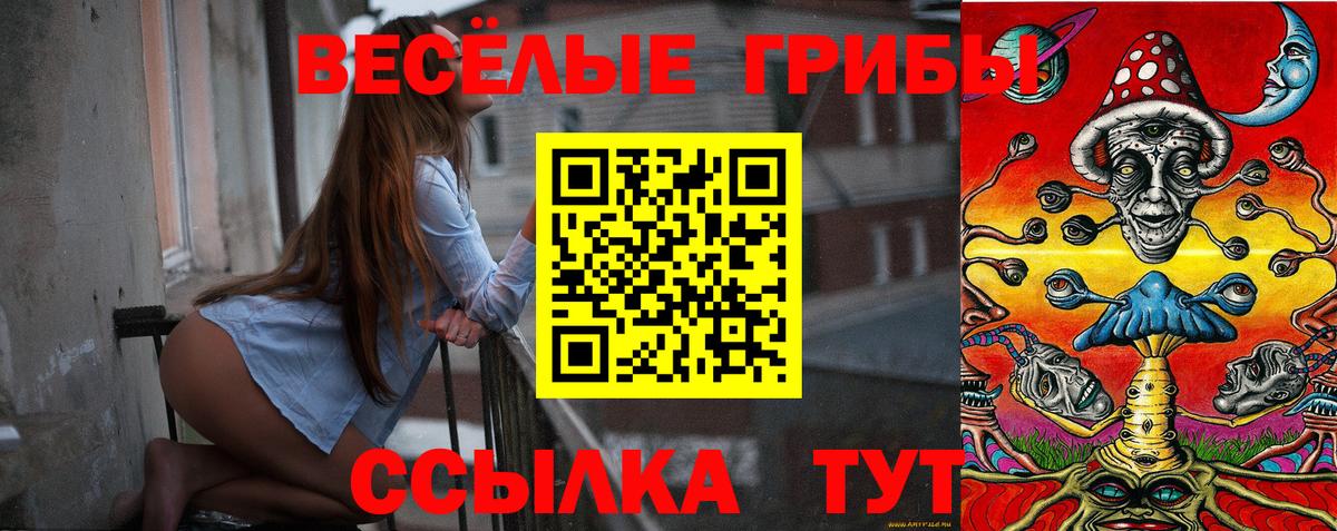 Псилоцибиновые грибы прущие грибы  Вход с VPN  Тулун 