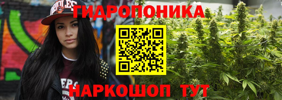 Тулун  Бошки Шишки Bruce Banner  Каннабис индика  Вход с VPN 